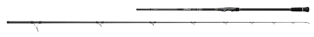 Daiwa 24 Blackline Surf Rod