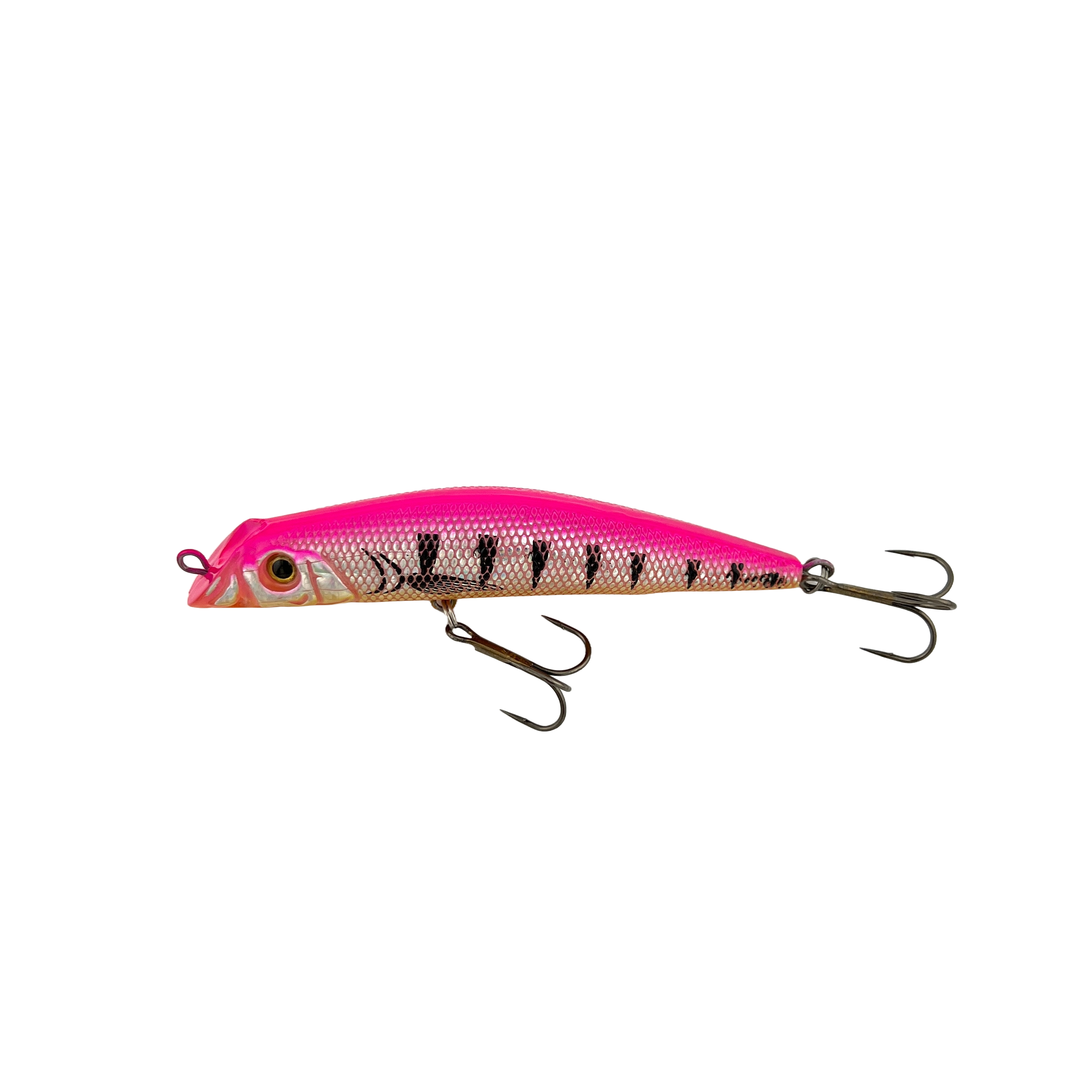 Crazy Gear Stunned Sardine Hard Body Lures