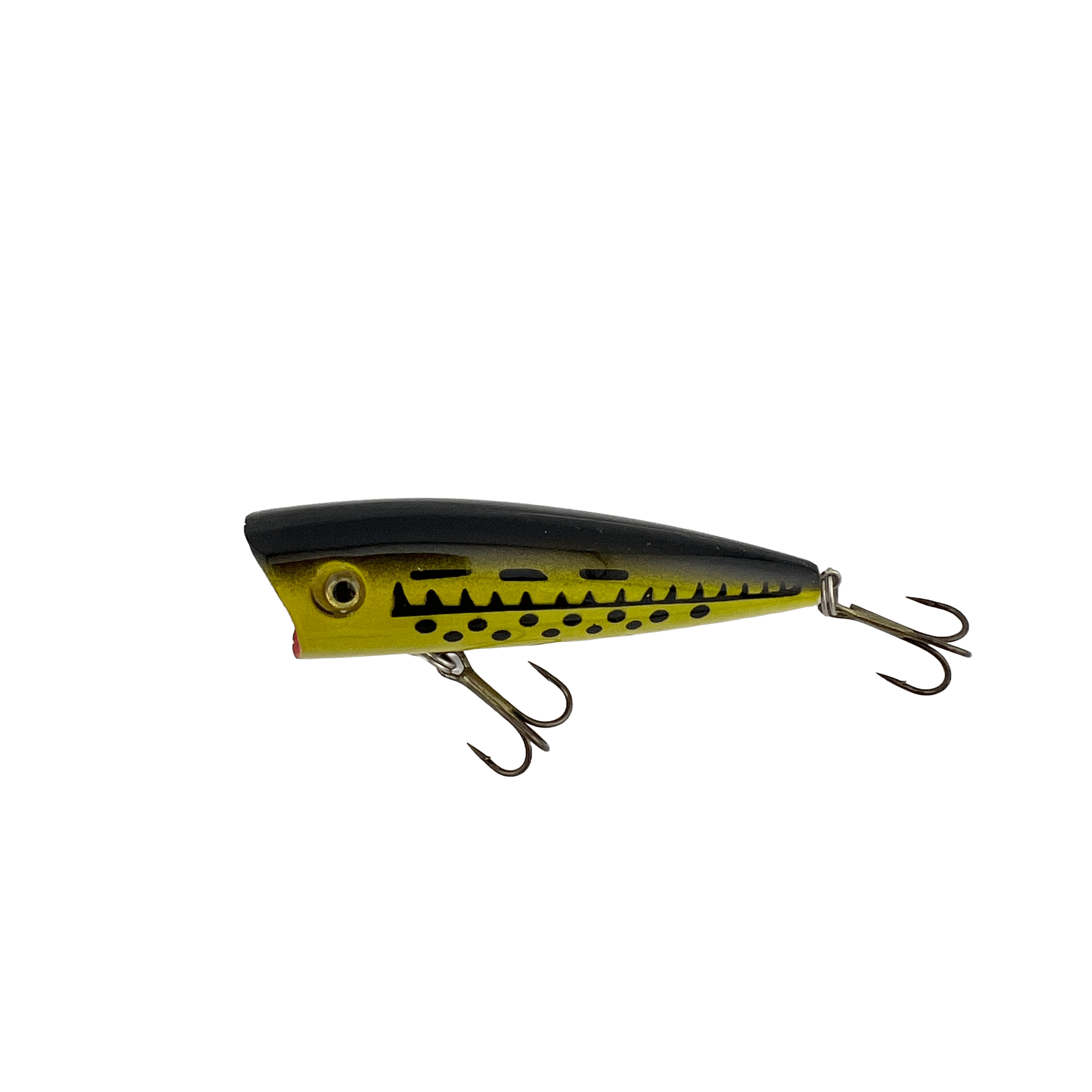 CG Hard Lure Loudmouth Popper